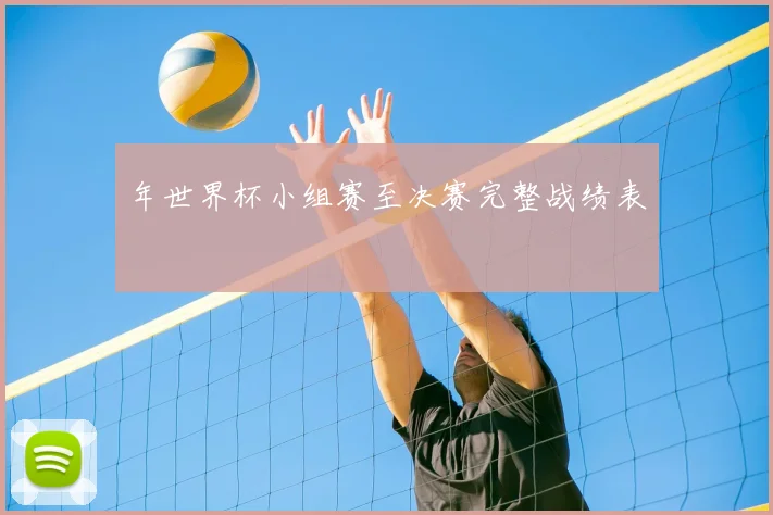 年世界杯小组赛至决赛完整战绩表