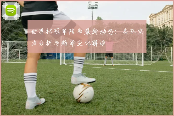 世界杯冠军陪率最新动态:各队实力分析与赔率变化解读