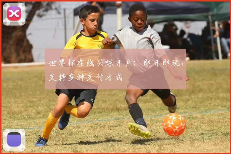 世界杯在线买球开户:即开即玩,支持多种支付方式