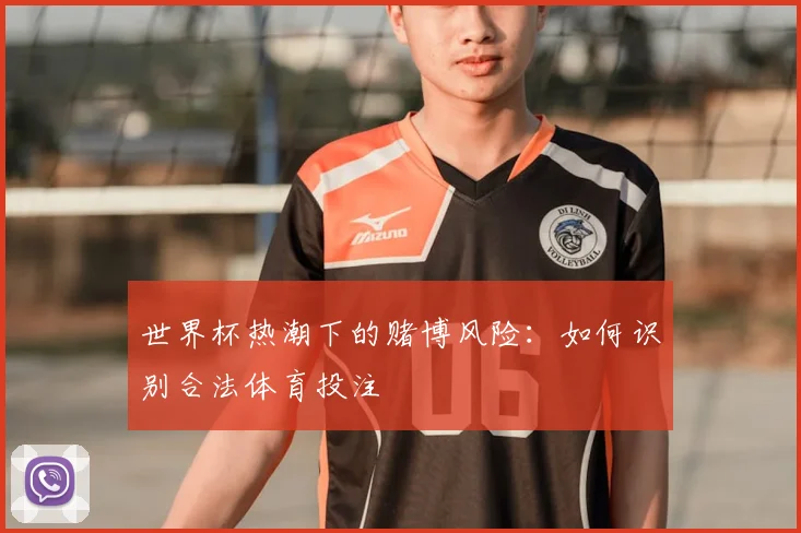 世界杯热潮下的赌博风险:如何识别合法体育投注