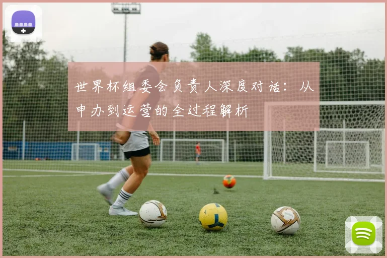 世界杯组委会负责人深度对话：从申办到运营的全过程解析