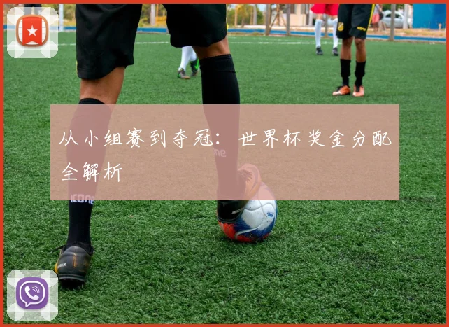 从小组赛到夺冠：世界杯奖金分配全解析