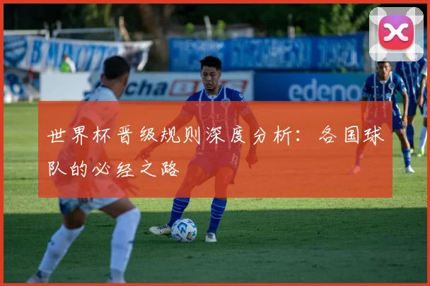 世界杯晋级规则深度分析：各国球队的必经之路